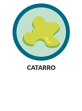 catarro