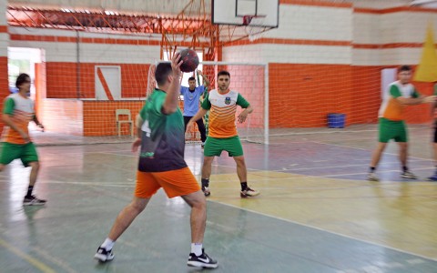 Notícias de Holambra