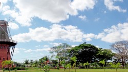 Galeria
