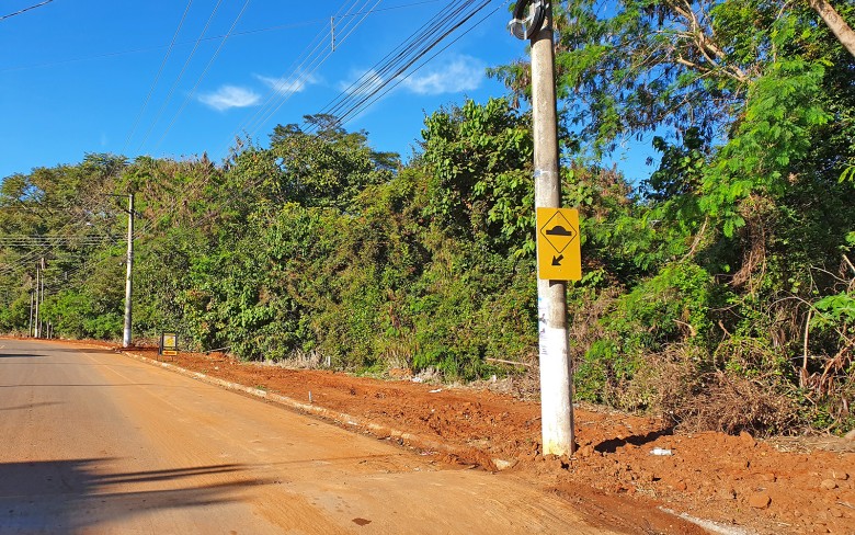 Notícias de Holambra