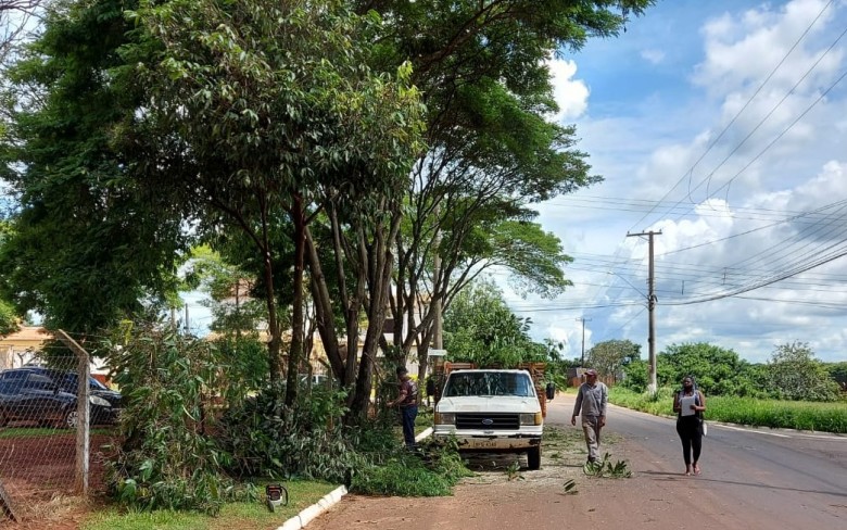 Notícias de Holambra