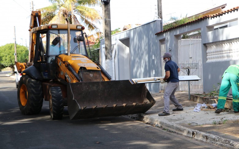 Notícias de Holambra
