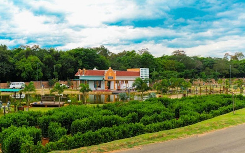 Notícias de Holambra