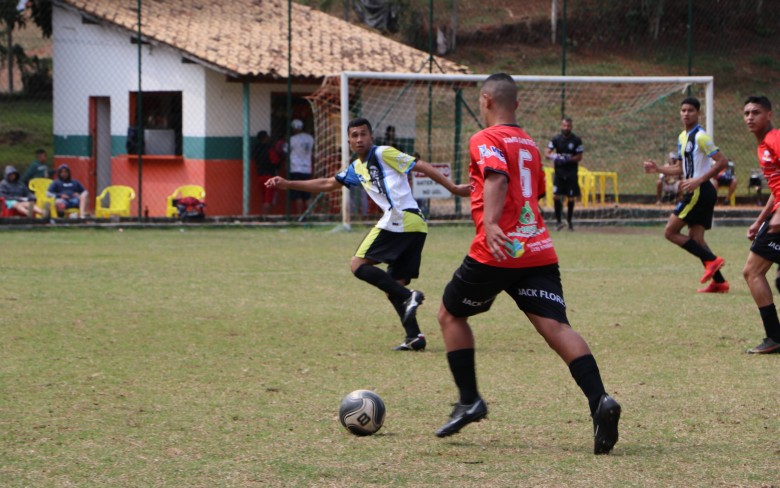 Notícias de Holambra