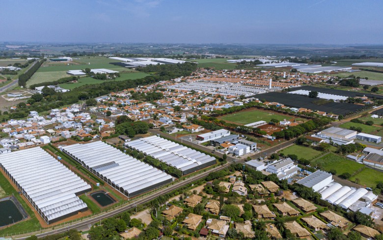 Notícias de Holambra