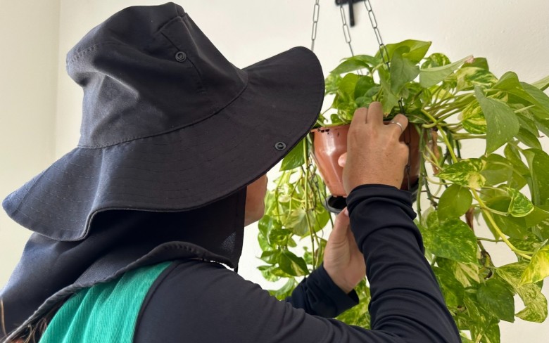 Notícias de Holambra