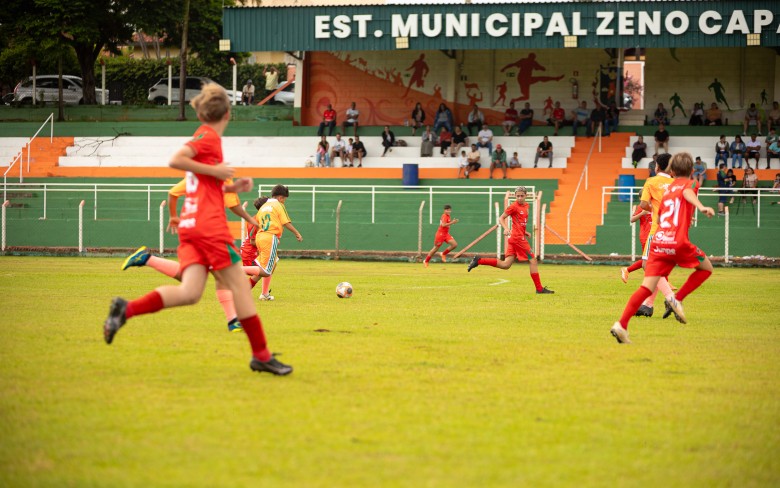 Notícias de Holambra