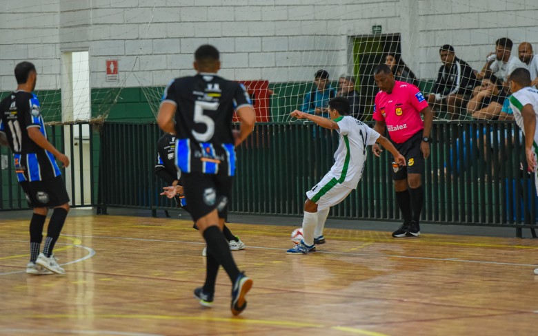 Notícias de Holambra