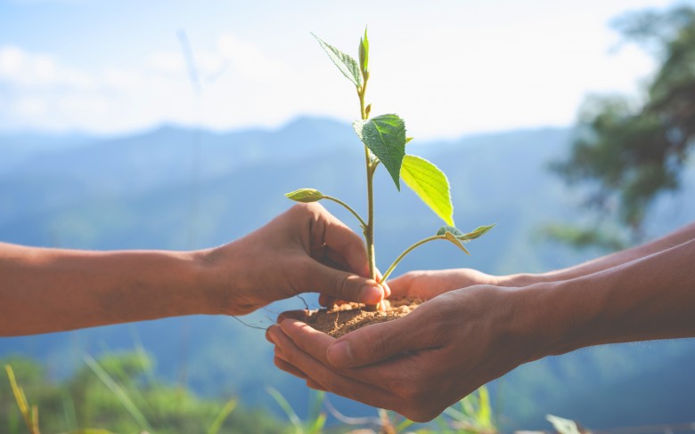 Notícias de Holambra
