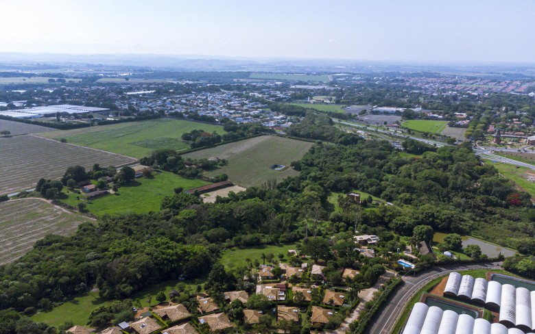 Notícias de Holambra