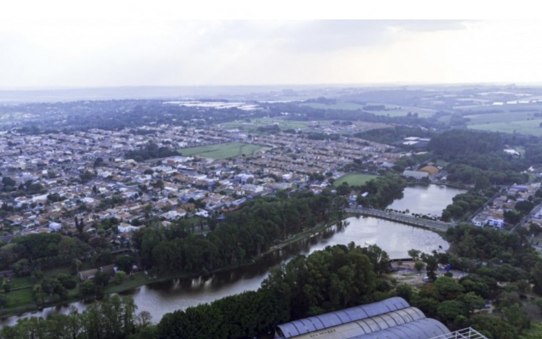 Notícias de Holambra