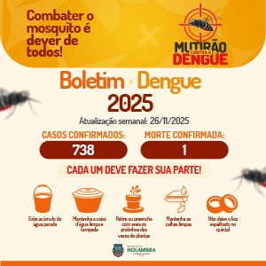 Dengue 